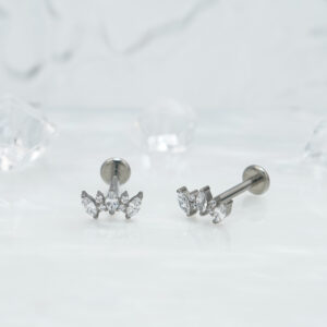 1pair Of Women's Earrings With Floral Stainless Steel Zircon Earrings Crystal Cluster Bloom