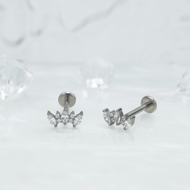 1pair Of Women's Earrings With Floral Stainless Steel Zircon Earrings Crystal Cluster Bloom