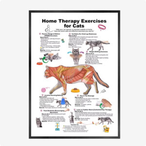 Cat And Dog Health Care Matters Hanging Pictures Veterinary Clinic Pets