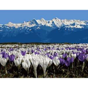 Digital Coloring Oil Painting Hand-Painted Color Painting