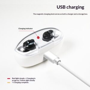 Hearing Aid Elderly Sound Amplifier Dual-device