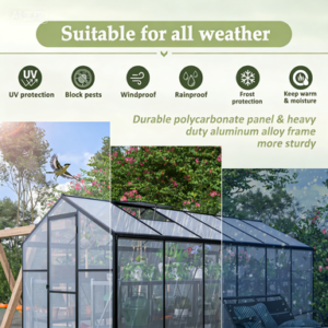 6' X 12' Thicked Polycarbonate Greenhouse, Greenhouse With Double Flush Door, Rain Gutter And Ventilation Window, Green House For Sunroom, Garden, Backyard, Walk-in Large Winter Greenhouse