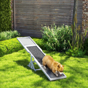 Wooden Dog Agility Seesaw For Training And Exercise, Weather Resistant