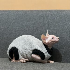 Winter Furless Cat Stretchy Fleece-Lined Thickened Warm Soft Sphinx Devon Rex Cat Clothes