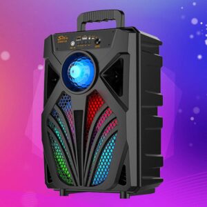 3000W Portable Bluetooth Speaker Sub Woofer Heavy Bass Sound System Party & Mic