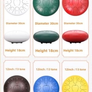 Steel Tongue Drum12 Inch13 Note A Pple Style