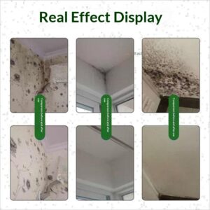 Mold-removal And Mold-prevention Spray For Household Use On White Walls And Tiles