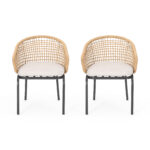 ARIAS CHAIR