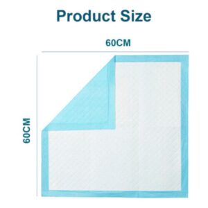 Pet Training Pads Puppy Toilet Potty Mat Indoor Dog Cat Pad 60X60cm Absorbent Blue-400pcs