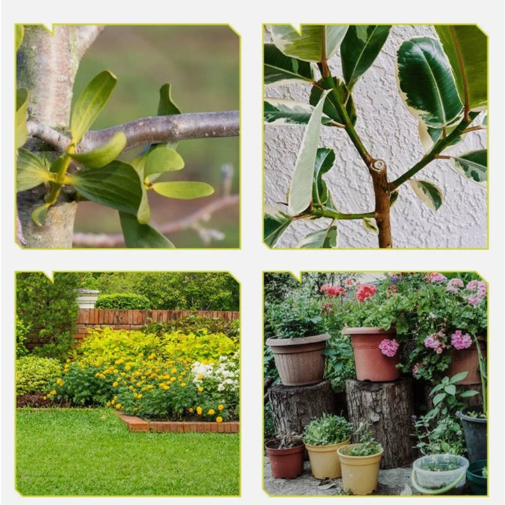 Support Pan European:Battery-Powered Hedge Trimmer 30mm Garden Shear Tree Shear Shrub Shears - 1 Battery Charger - Image 5