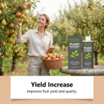 Universal Nutrient Solution For Vegetative Growth Of Plant Roots