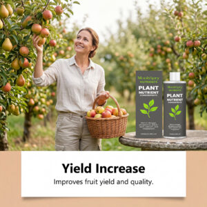 Universal Nutrient Solution For Vegetative Growth Of Plant Roots