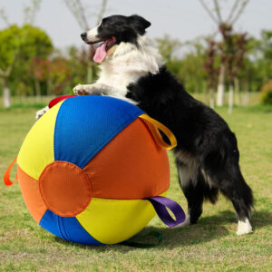 Complete Set Of Golden Retriever Chew-resistant Balls For Entertainment