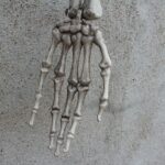 170cm Human Skeleton Life Size Skull Full Body Anatomy Model Halloween Medical
