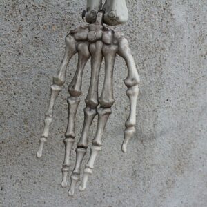 170cm Human Skeleton Life Size Skull Full Body Anatomy Model Halloween Medical