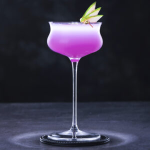 Tall Cocktail Champagne Martini Glass