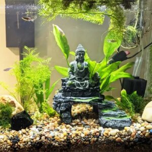 38lbs Decorative Garden Stone Outdoor Landscaping, Walkways, Yard, 1-3 Inch Large Polished River Rocks For Plants Pots, Vases, Crafts