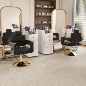 Professional Hydraulic Barber Chair - 360 Swivel With Adjustable Height Stainless Steel Armrests & Reclining Backrest For Salon & Barber Shop Black Gold Single Pack