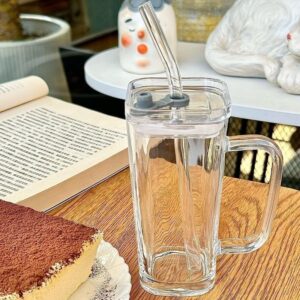 Red Square Glass Water Cup With A Handle
