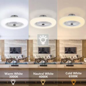 Support Pan European：30W Ceiling Fan With Remote Control Ceiling Lamp Lighting Lamp LED - E27