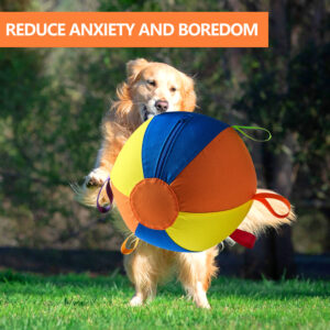 Complete Set Of Golden Retriever Chew-resistant Balls For Entertainment