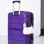 Hardshell Suitcase Spinner Wheels PP Luggage Sets Lightweight Durable Suitcase With TSA Lock,3-Piece Set 20 24 28 ,Purple