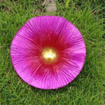 Outdoor Flower Courtyard Decoration Bird Bath Basin