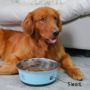 Stainless Steel Large-Capacity Dog Bowl With Footprint Design