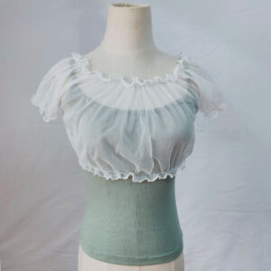 Women’s Sheer Sweet Puff-sleeve Off-shoulder Base Top
