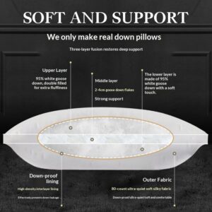 Hotel Pillow Inserts Goose Duck Down Pillows
