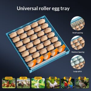 Small Household Fully Automatic Incubator