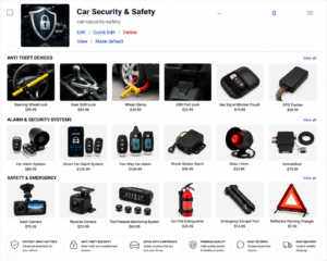 Car Security & Safety