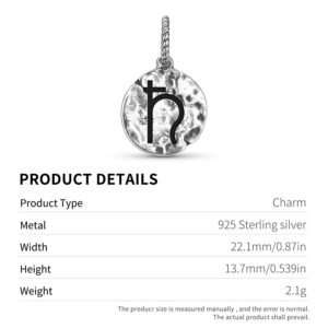 Alchemy Lead Symbol 925 Sterling Silver Hand Textured Dangle Charm For Charm Bracelets
