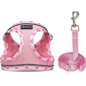 Pet Harness Vest Style Leash – Adjustable Breathable Dog Cat Harness with D-Ring for Walking Training