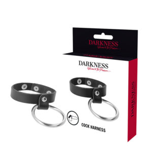 METAL RING FOR THE PENIS AND TESTICLES