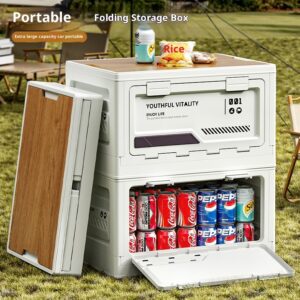 Outdoor Camping Storage Box With Side-opening Door And Wooden Lid