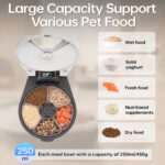 Freshness-preserving Pet Smart Feeder