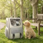 Breathable Transparent Outdoor Pet Backpack For Cats And Dogs