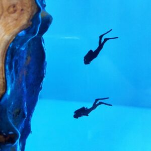 Solid Wood And Resin Ornament Diver Duo Ocean-themed With A Cozy Ambiance