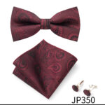 Mens Striped Jacquard Bow Tie Set