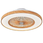 Wood-grain Ribbon Electric Fan Ceiling Fan-light For Living Room And Dining Room