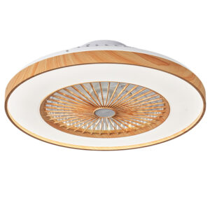 Wood-grain Ribbon Electric Fan Ceiling Fan-light For Living Room And Dining Room