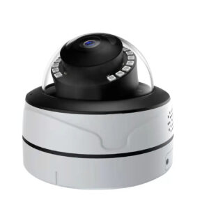 POE Surveillance Camera, Domehemispherical, Indoor, 4-megapixel High Definition