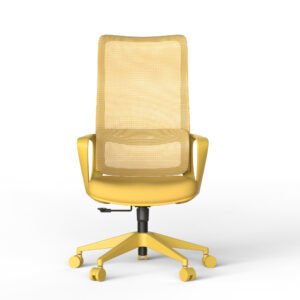 Ergonomic Colorful Office Chair 350LBS Home Office Mesh Breathable High Back, With Adjustable Lumbar Support Computer Chair, Integrated Molded Foam Seat Cushion, Fireproof (Yellow)