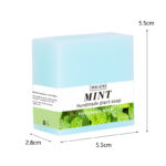 Square Mint Soap
