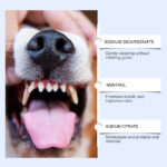 Cat And Dog Teeth Cleaning Powder