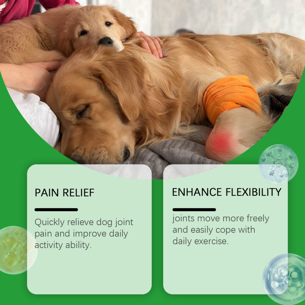 Dog Glucosamine Hip Joint Chews, Chondroitin Joint Support Supplements For All Breeds, Chicken Flavor Soft Chews To Relieve Joint Pain & Boost Mobility