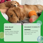 Dog Glucosamine Hip Joint Chews, Chondroitin Joint Support Supplements For All Breeds, Chicken Flavor Soft Chews To Relieve Joint Pain & Boost Mobility