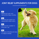 Dog Joint Relief Liquid Supplement Drops, Hip & Joint Care Support For All Breeds Dogs, Relieve Joint Pain, Reduce Inflammation, Restore Cartilage, Improve Mobility, 60ml