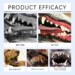 Cat And Dog Teeth Cleaning Powder
